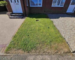 Before - Small Grass Area