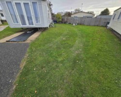 Before - Existing Lawn Area
